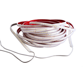 LED Stripes ab IP44 bei Hornung Elektrotechnik GmbH in Rothenburg o.T.
